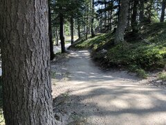 Petzen - 11,5 km Flow Trail