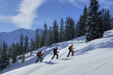 Freeride i Ski touring by Diamir