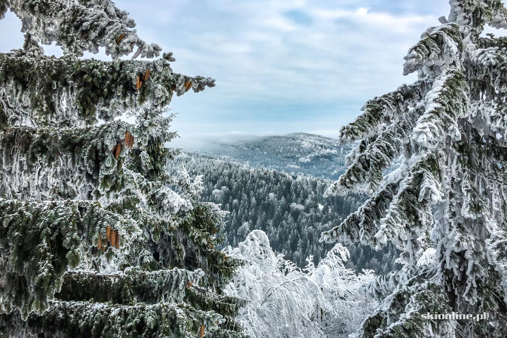 Galeria: Ski centrum Říčky w Czechach - luty 2017