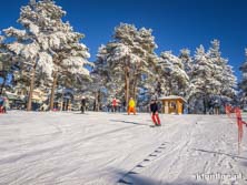 Arłamów - warunki narciarskie 2014.12.31