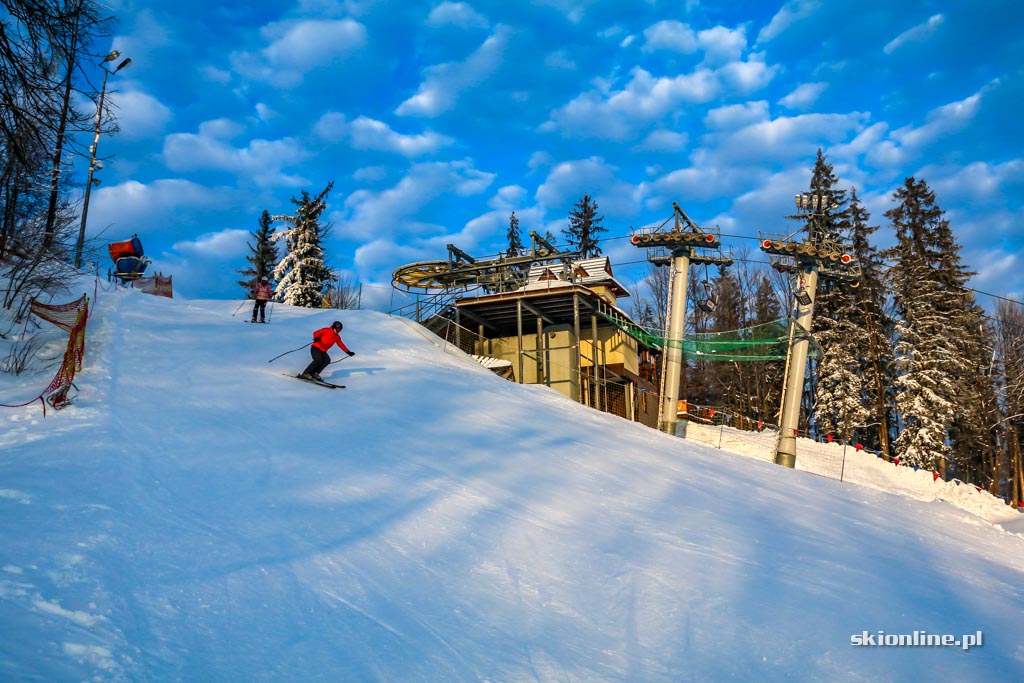 Galeria: Zakopane Harenda - styczeń 2017