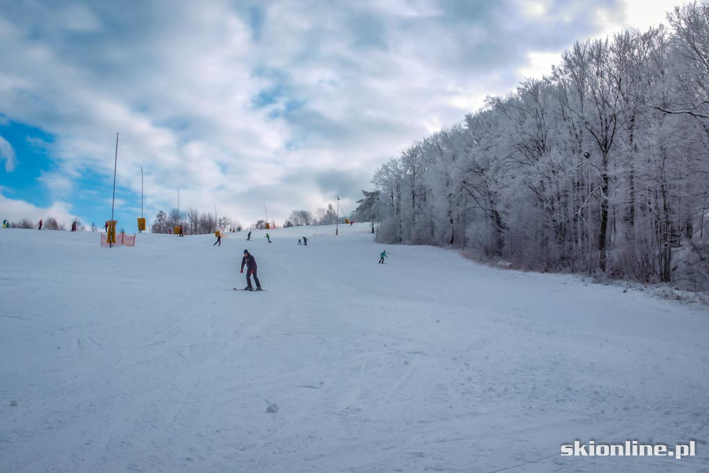 Galeria: Kiczera Ski - styczeń 2016