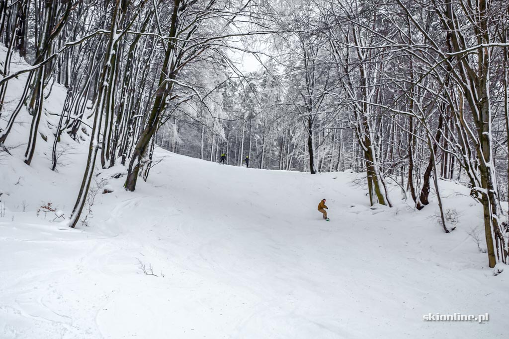 Galeria: Kiczera-Ski - warunki narciarskie, grudzień 2016