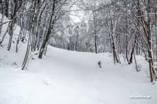 Kiczera-Ski - warunki narciarskie, grudzień 2016