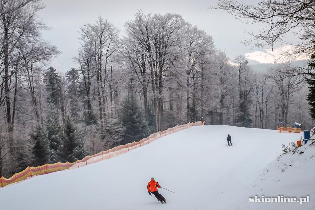 Galeria: Magura Ski Park w Małastowie 2015-01-16