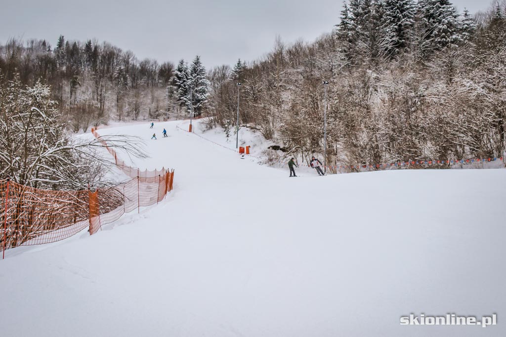 Galeria: Szczawnica Palenica warunki narciarskie 28.01.2015