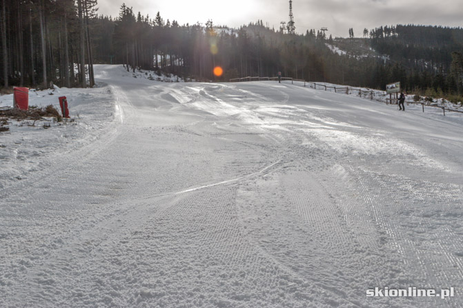 Galeria: Szczyrk, Skrzyczne - FIS 01.02.2014