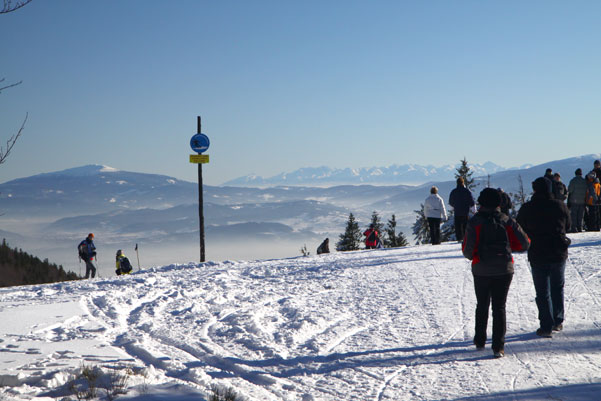 Galeria: Beskidy - Szyndzielnia i Klimczok