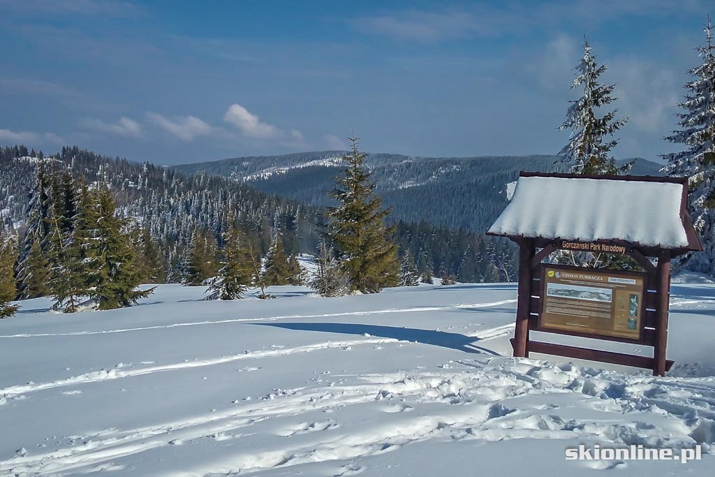 Galeria: Wiosenne skitury - na Turbacz z Koninek