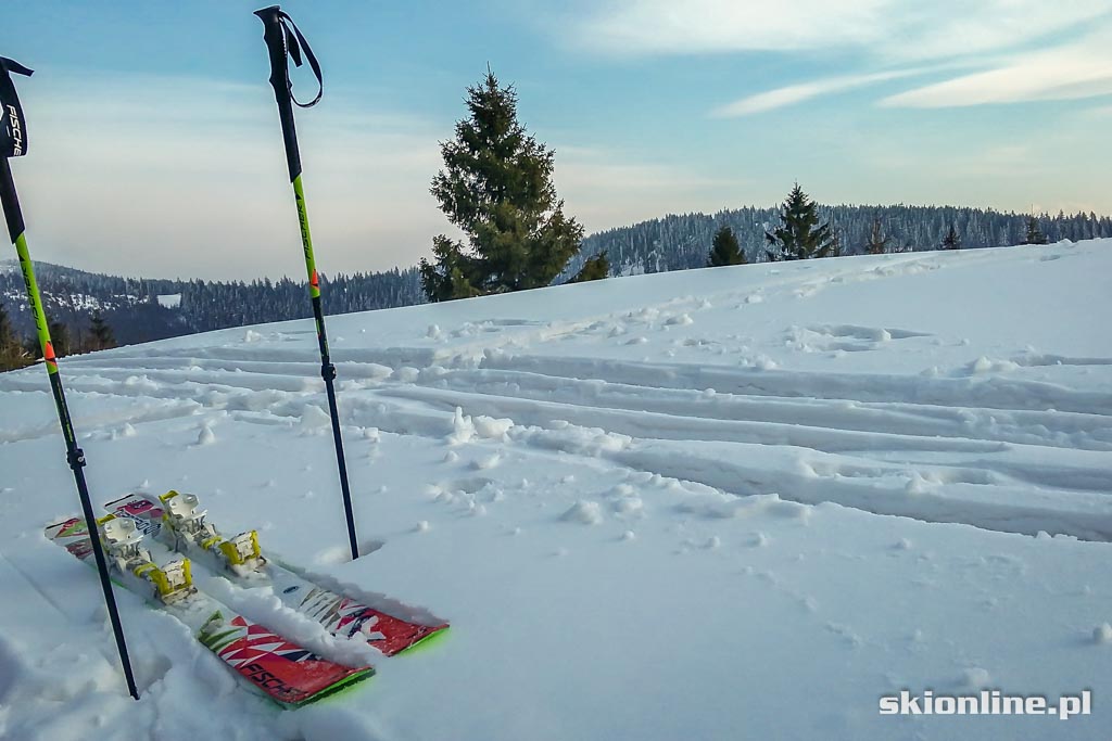 Galeria: Wiosenne skitury - na Turbacz z Koninek