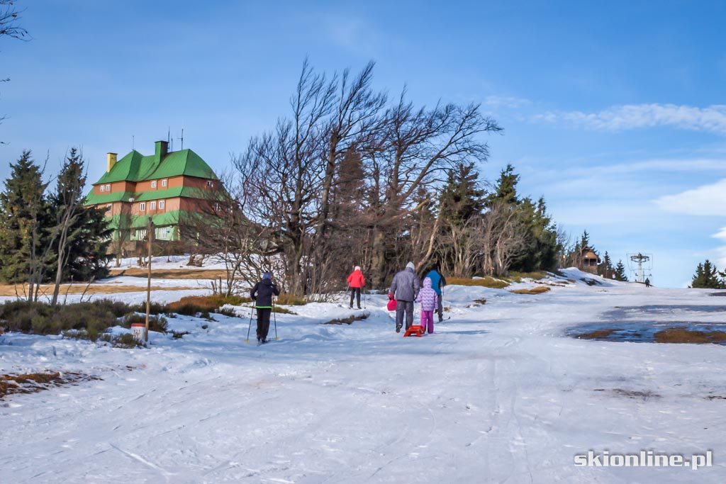 Galeria: Ski Arena Zieleniec - Nartorama styczeń 2016