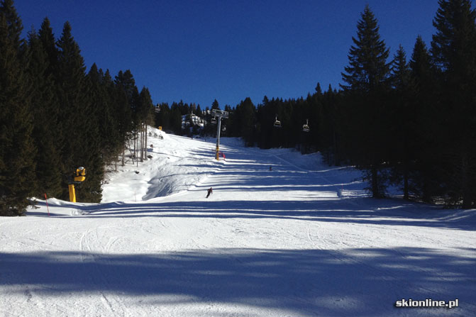 Galeria: Folgaria - Fioretnini - Trentino, Włochy