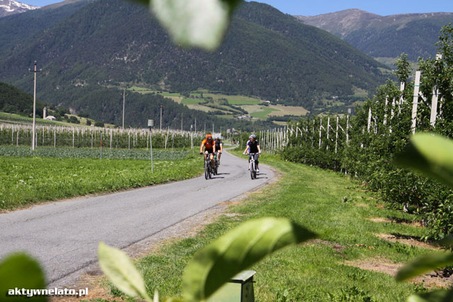 Galeria: Rowerem przez dolinę Val Venosta / Vinschgau