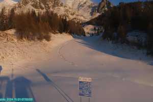 Kamera Val di Sole Pejo Campo Scuola Scoiattolo