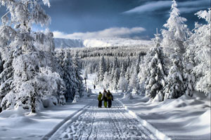 Karkonosze fot. Jacek Ka