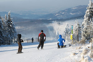 Szczyrk - Małe Skrzyczne fot. skionline.pl